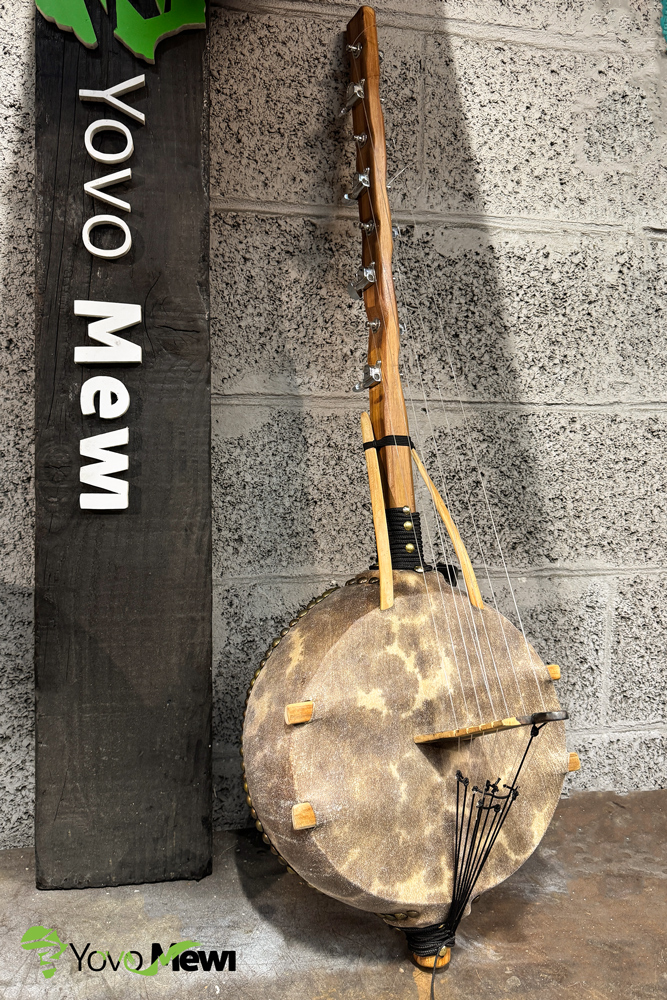 Kamélé goni 8 cordes , taille moyen ,manche bambou (sonorités Yassolon)